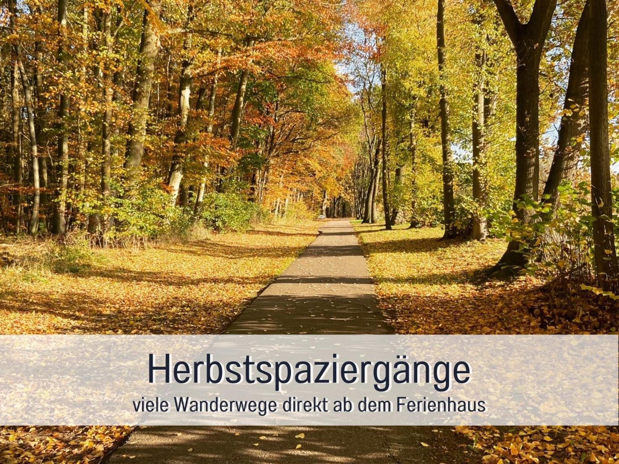 Strandhaus Mathea - Ruhige Lage Direkt Am Fleesensee - Parkplatz, Kamin, Sauna - Familienfreundlich Unter Göhren Esterno foto